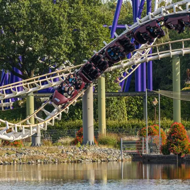 Big Loop (3)