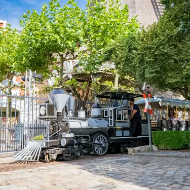 Heide Park Express (3)