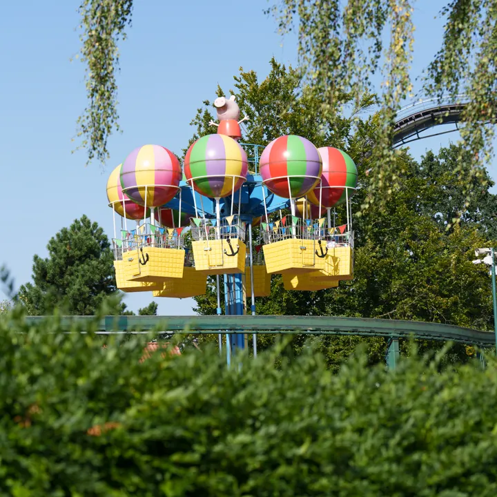 FFK09694