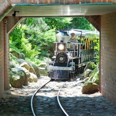 Heide Park Resort: Heide Park Express