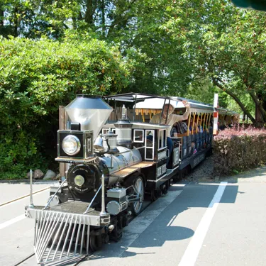 Heide Park Resort: Heide Park Express